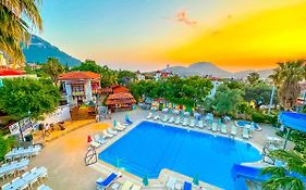Zehra Tatil Koeyue